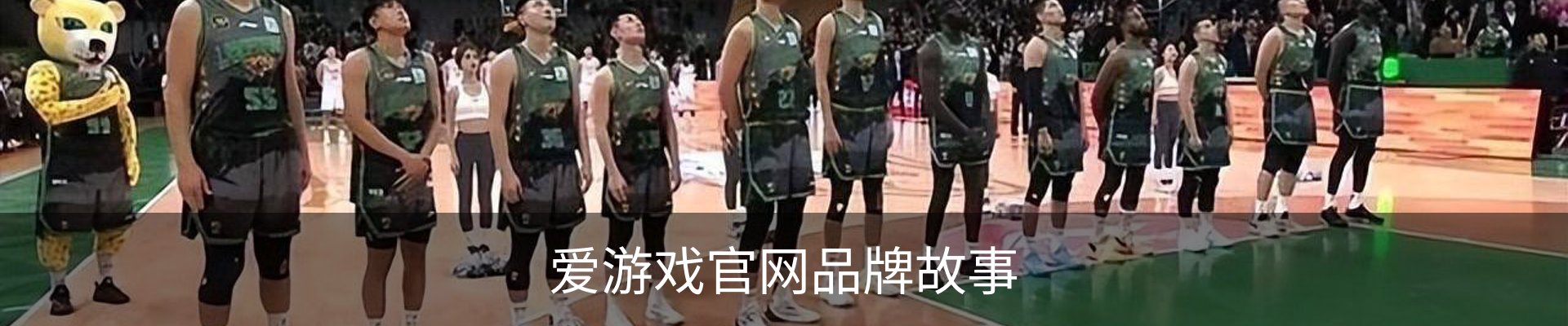 爱游戏官网品牌故事