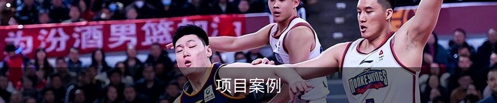 项目案例