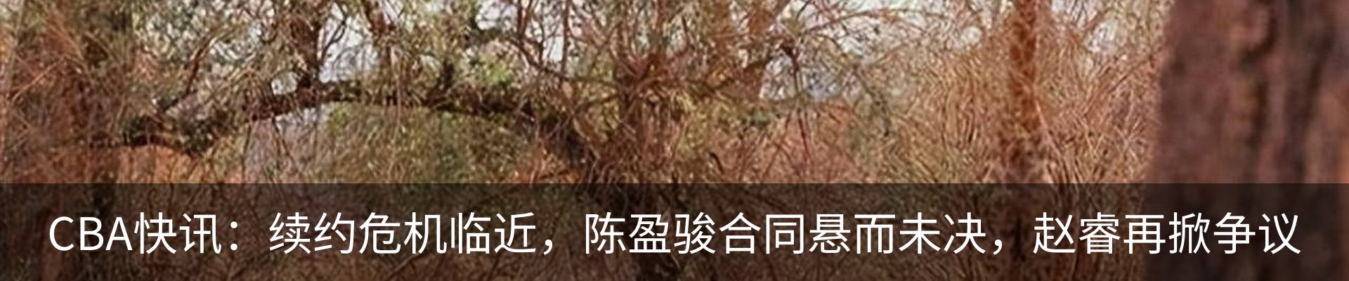 资讯动态